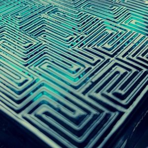 Meet your Posher, Joey